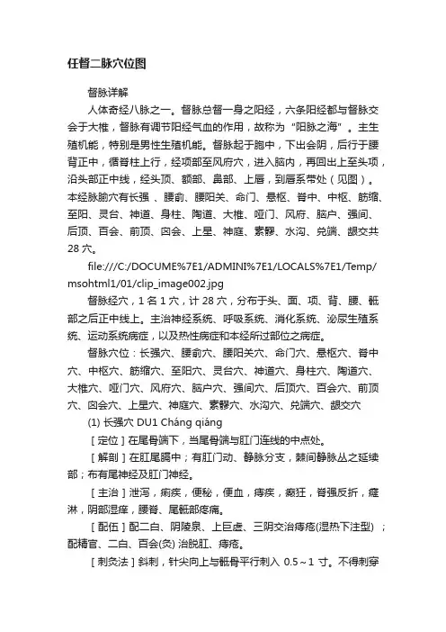 任督二脉穴位图