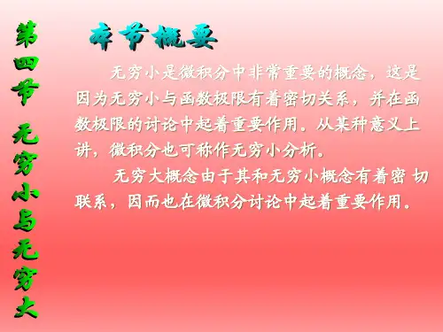 高等数学无穷小与无穷大