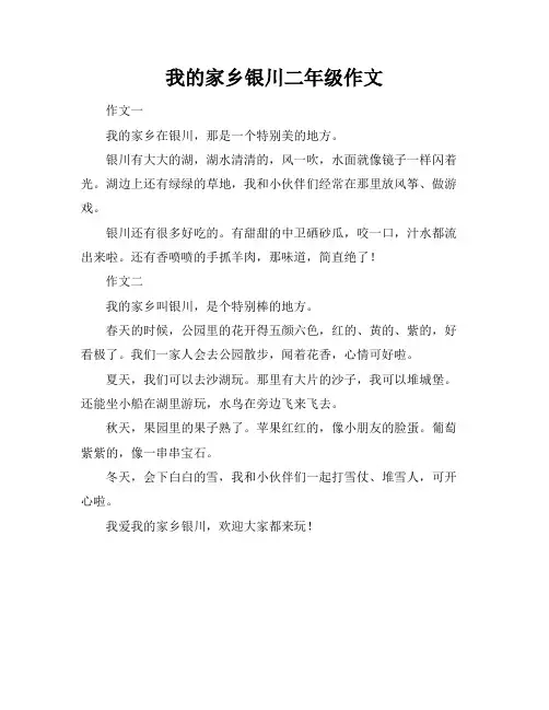 我的家乡银川二年级作文