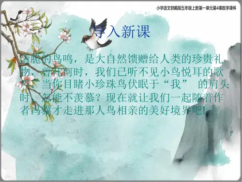 珍珠鸟课件(共74张PPT)