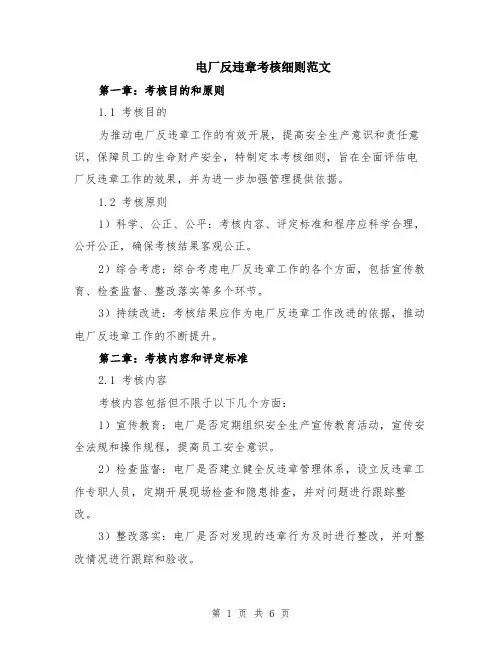 电厂反违章考核细则范文（二篇）