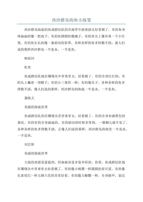 西沙群岛的鱼小练笔