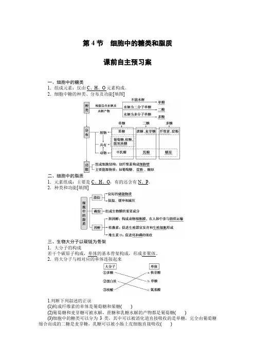 人教版生物必修一重难点解析2.4附答案