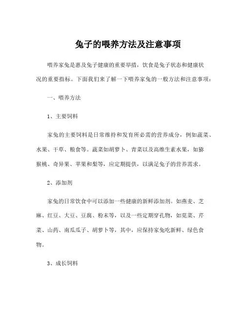 兔子的喂养方法及注意事项