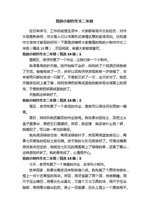 我的小制作作文二年级