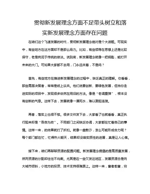 贯彻新发展理念方面不足带头树立和落实新发展理念方面存在问题