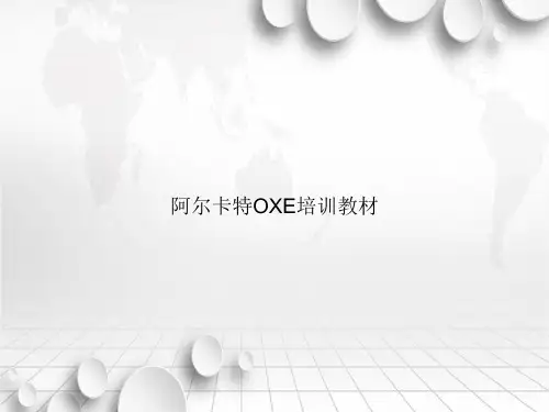 阿尔卡特OXE培训教材讲课文档