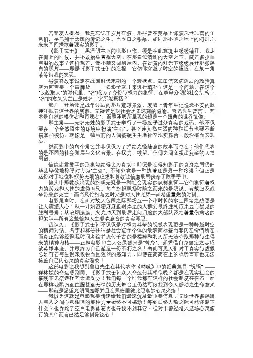 影子武士观后感斑驳陆离的荣与辱