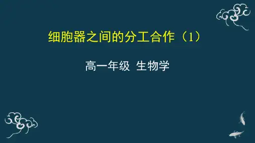 细胞器之间的分工合作(1)》PPT