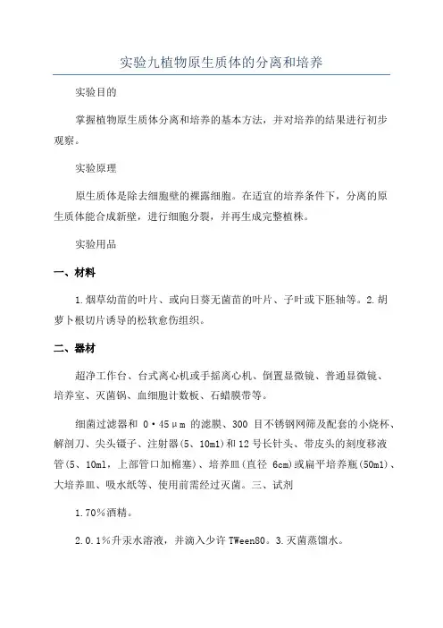 实验九植物原生质体的分离和培养