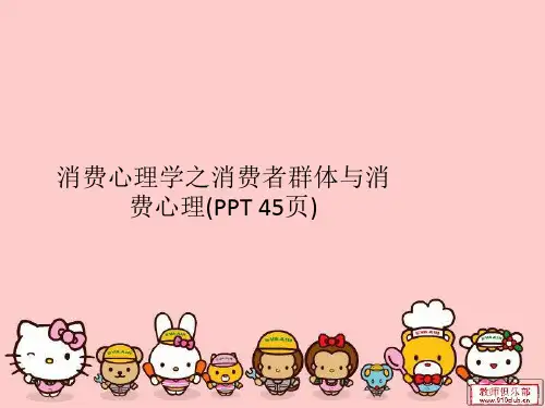 消费心理学之消费者群体与消费心理(PPT 45页)
