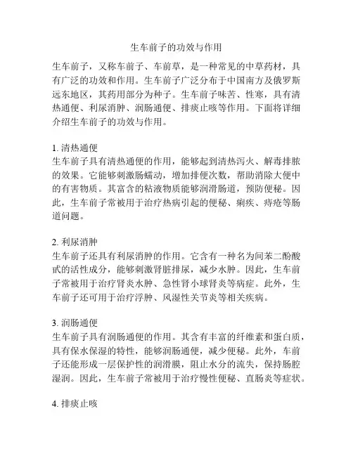 生车前子的功效与作用