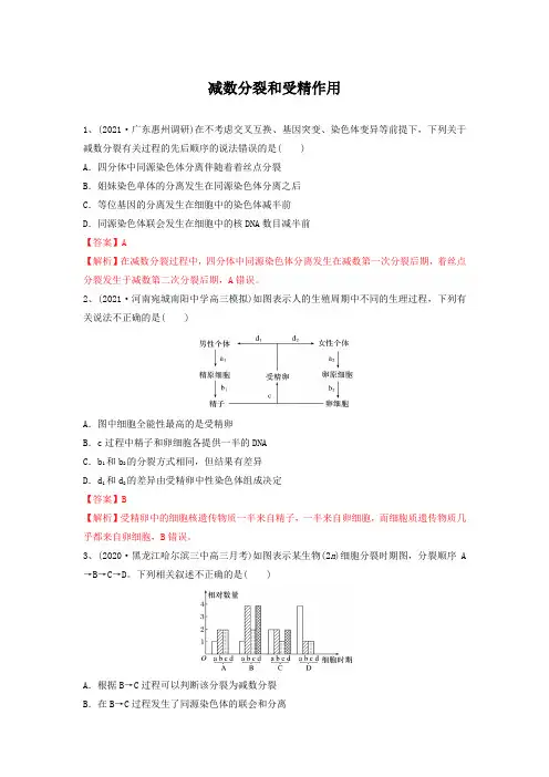 专题12 减数分裂和受精作用(精练)(解析版)