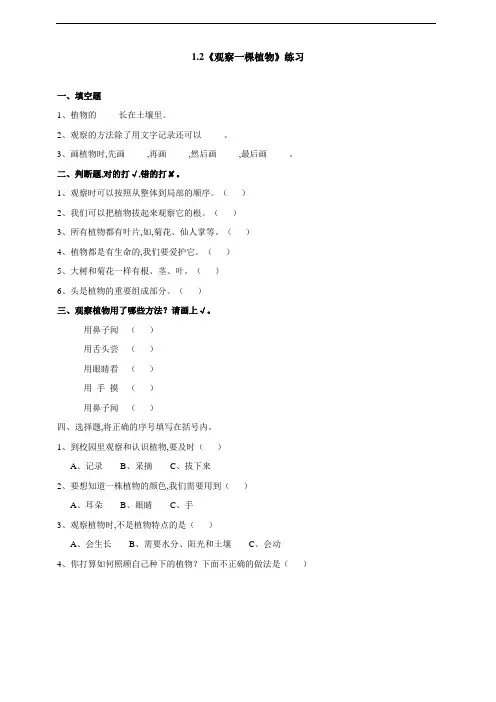 教科版 一年级科学上册 《观察一棵植物》练习