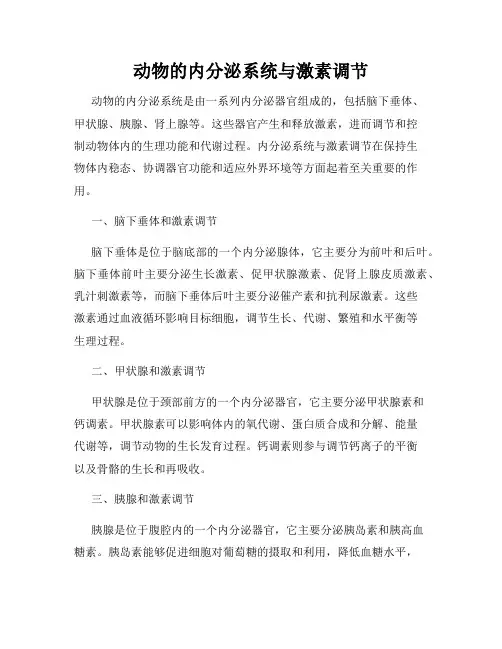 动物的内分泌系统与激素调节
