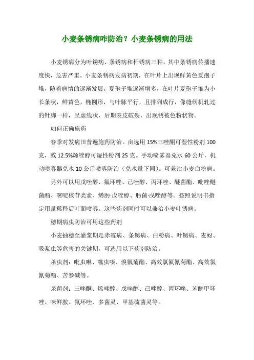 小麦条锈病咋防治？小麦条锈病的用法