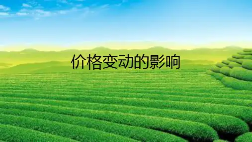 价格变动的影响（需求曲线、供给曲线）课件-2022届高考政治人教版必修一经济生活