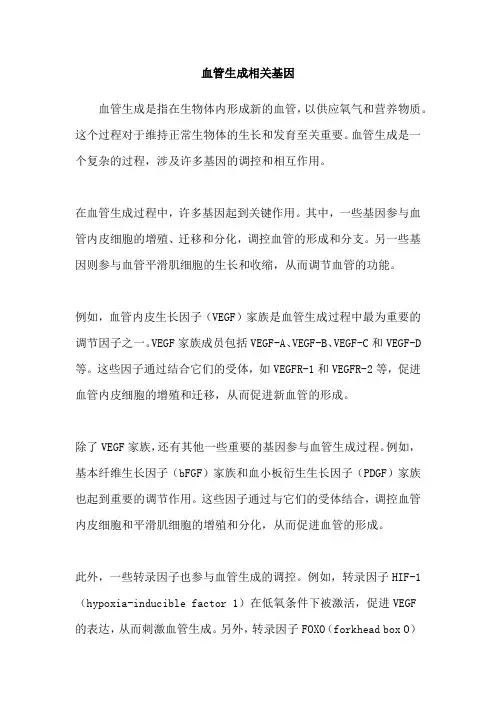 血管生成相关基因