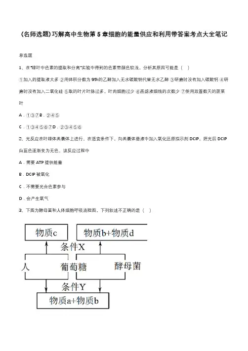 巧解高中生物第5章细胞的能量供应和利用带答案考点大全笔记