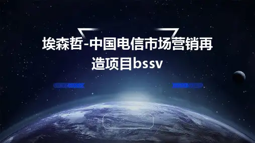 埃森哲-中国电信市场营销再造项目BSSv