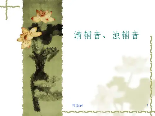 清辅音、浊辅音