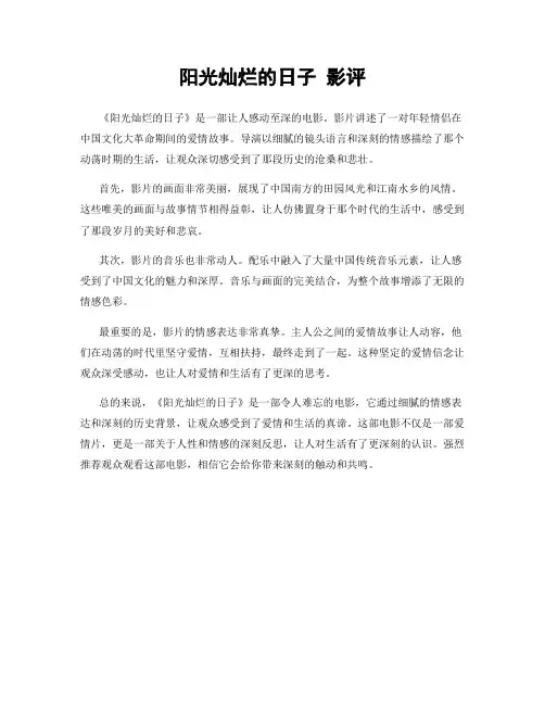阳光灿烂的日子 影评