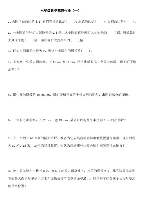 六年级数学寒假作业