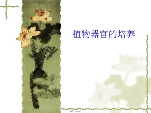 植物器官的培养