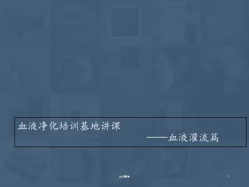 血液灌流操作规程  ppt课件