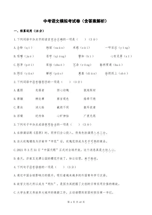 中考语文模拟考试卷(含答案解析)