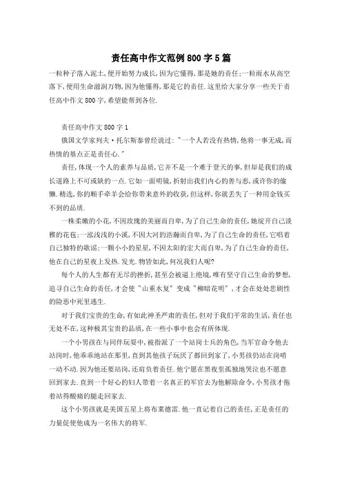 责任高中作文范例800字5篇