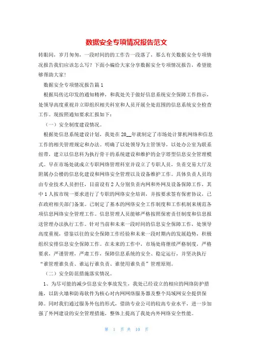 数据安全专项情况报告范文