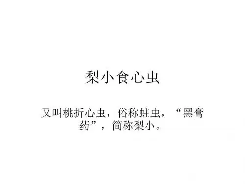 13-14梨小食心虫的防治