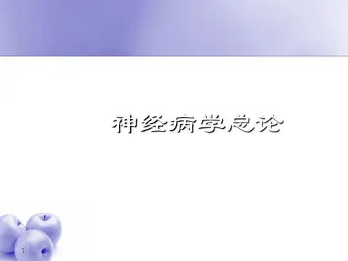 神经病学PPT课件精选全文