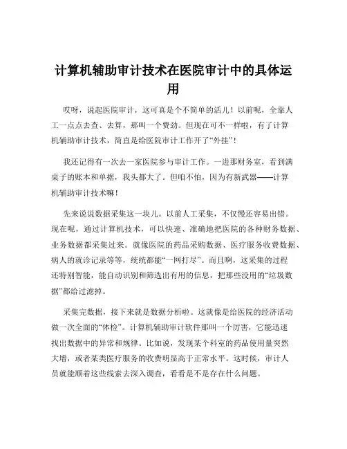 计算机辅助审计技术在医院审计中的具体运用