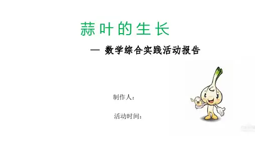 蒜叶的生长(数学实践活动)资料