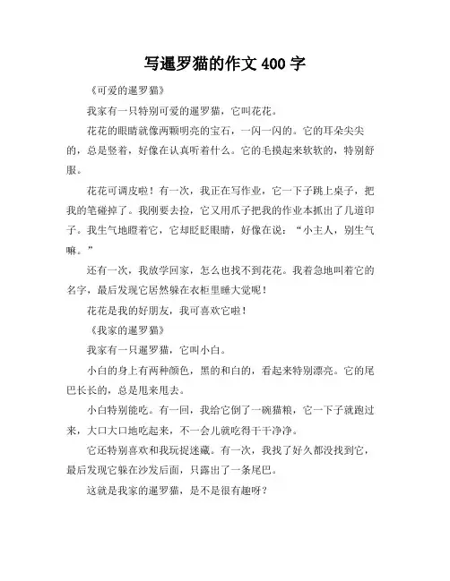 写暹罗猫的作文400字