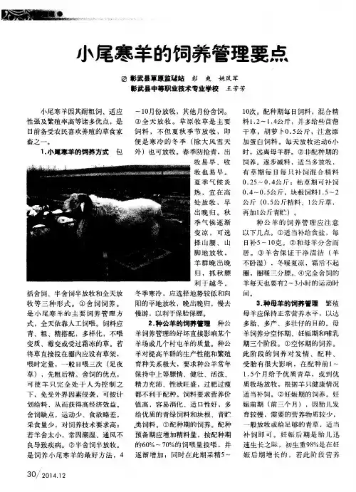 小尾寒羊的饲养管理要点