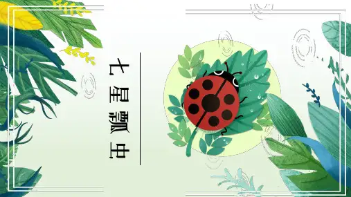 【小儿美术课件】七星瓢虫
