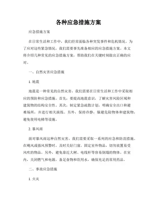 各种应急措施方案