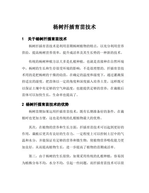 杨树扦插育苗技术