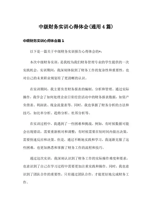 中级财务实训心得体会(通用4篇)
