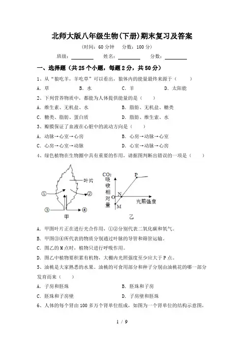 北师大版八年级生物(下册)期末复习及答案