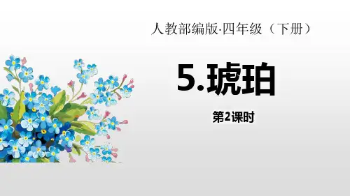 《琥珀》第二课时课件