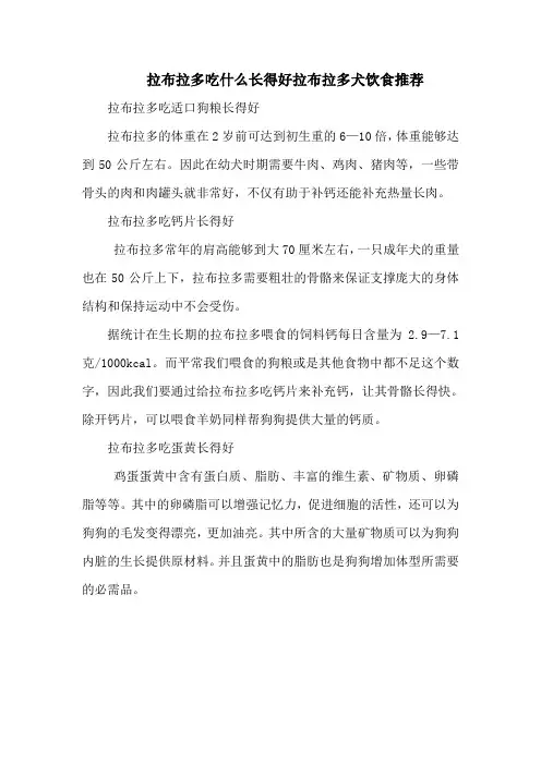 拉布拉多吃什么长得好拉布拉多犬饮食推荐