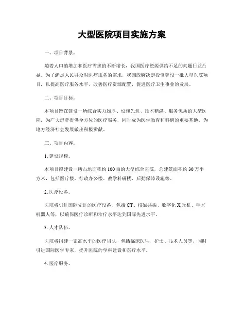 大型医院项目实施方案