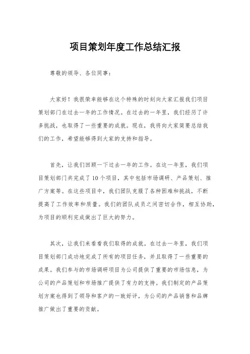 项目策划年度工作总结汇报