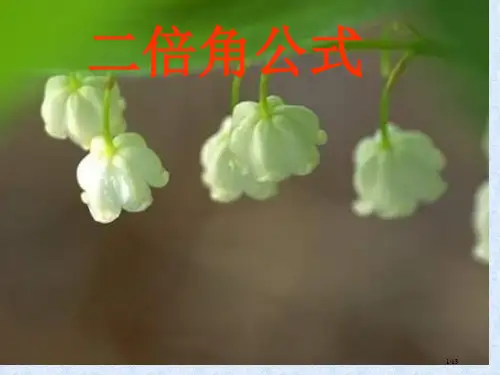 第二次公开课二倍角公式---省公开课金奖全国赛课一等奖微课获奖课件