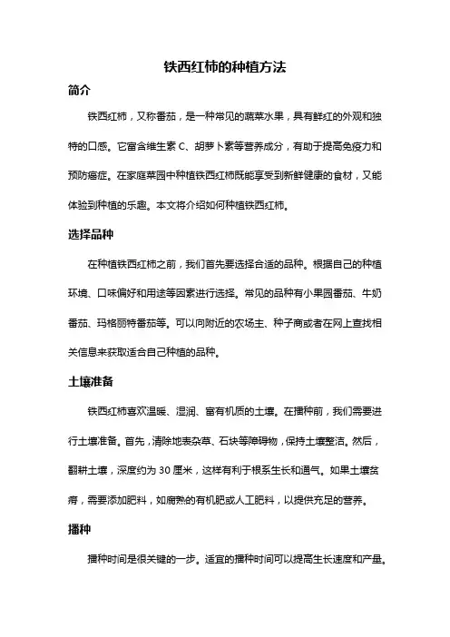 铁西红柿的种植方法