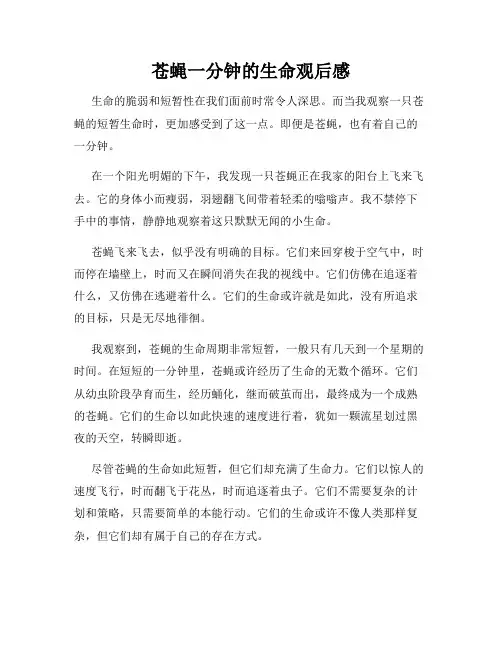苍蝇一分钟的生命观后感